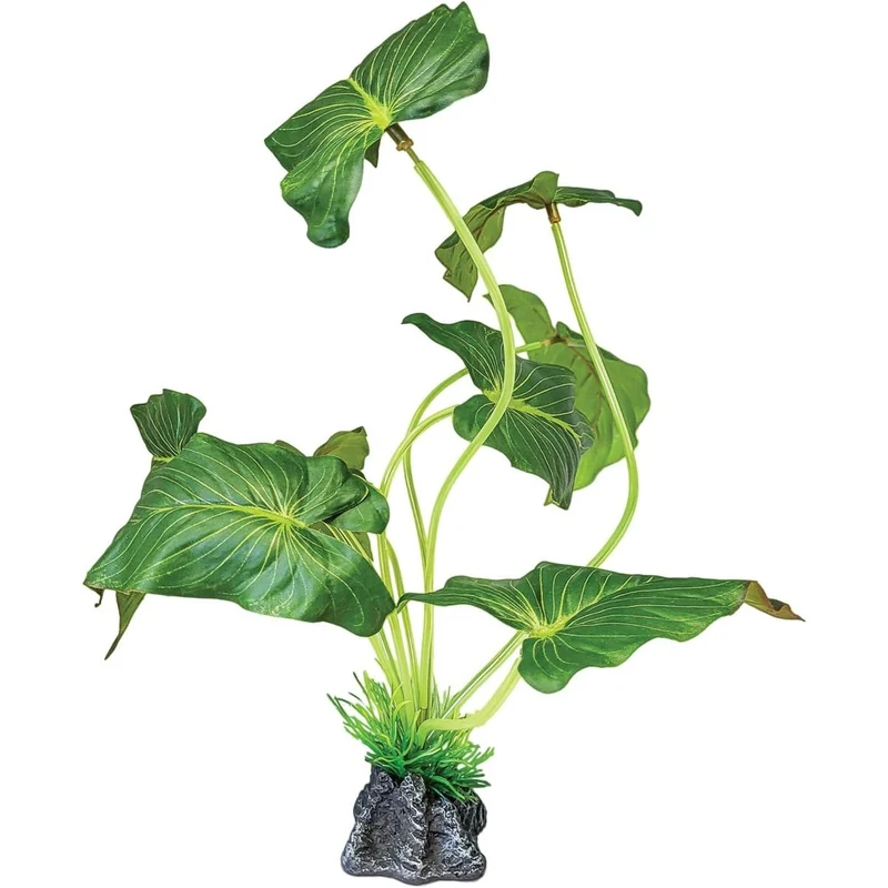 Repto Plant Oreille D'Éléphant Debout