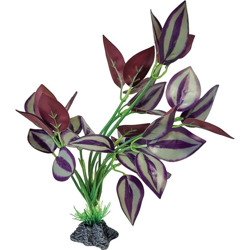Repto Plant Feuilles Violettes Debout
