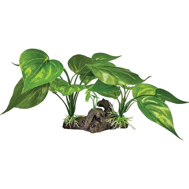 Repto Plant Sur Déco Verte Claire