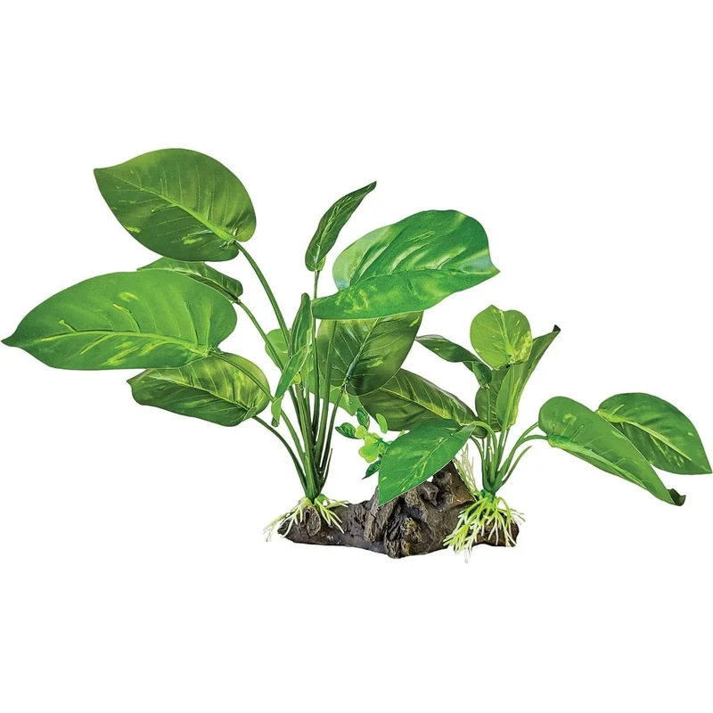 Repto Plant Sur Déco Verte Foncée