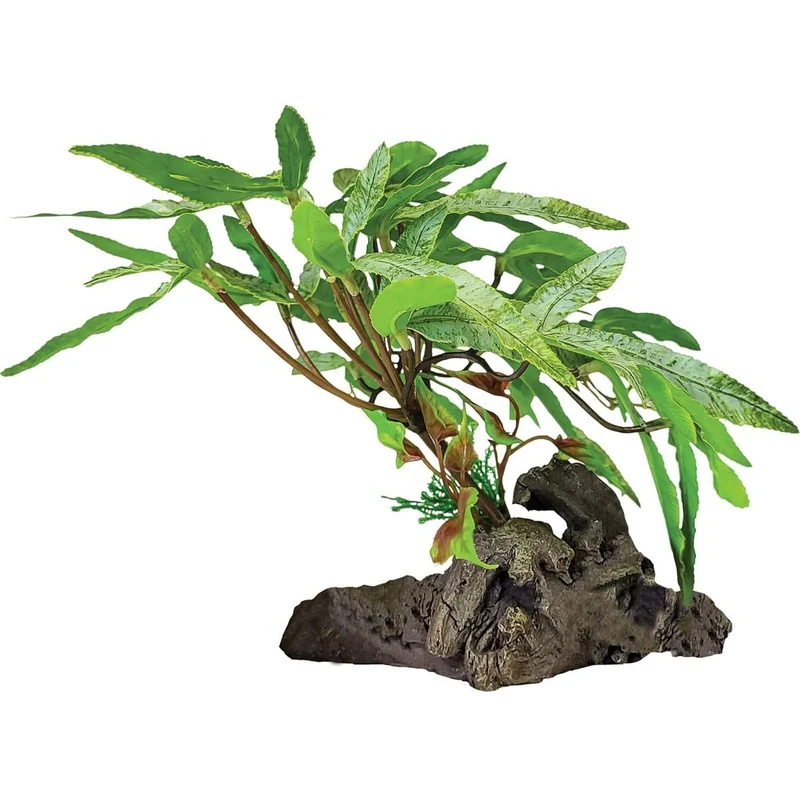 Repto Plant Sur Déco À 3 Feuilles Pointues
