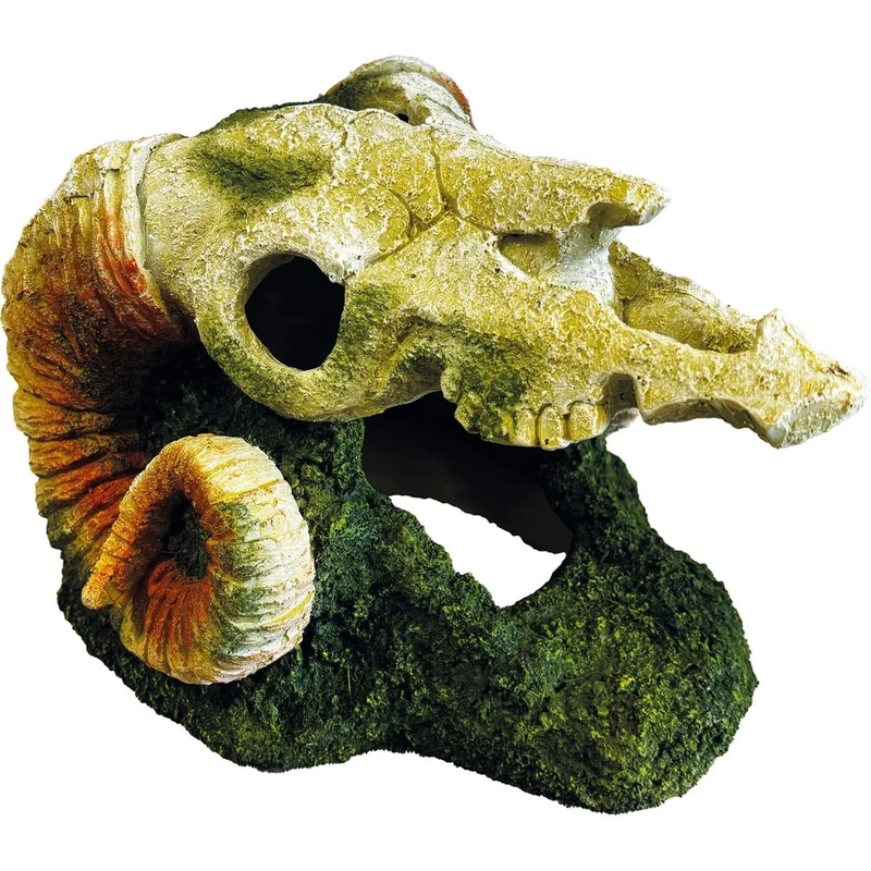 Repto Déco Goat Skull