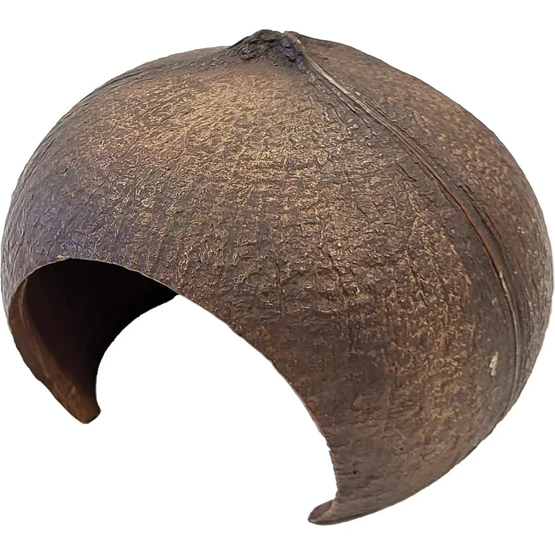 Repto Déco Coconut