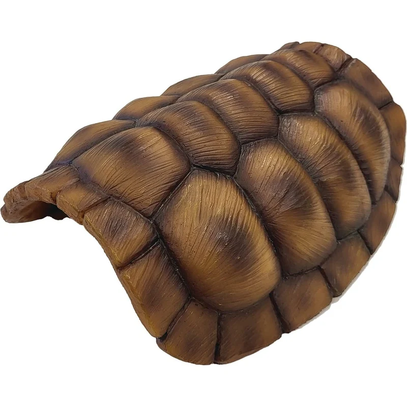 Repto Déco Tortoise M