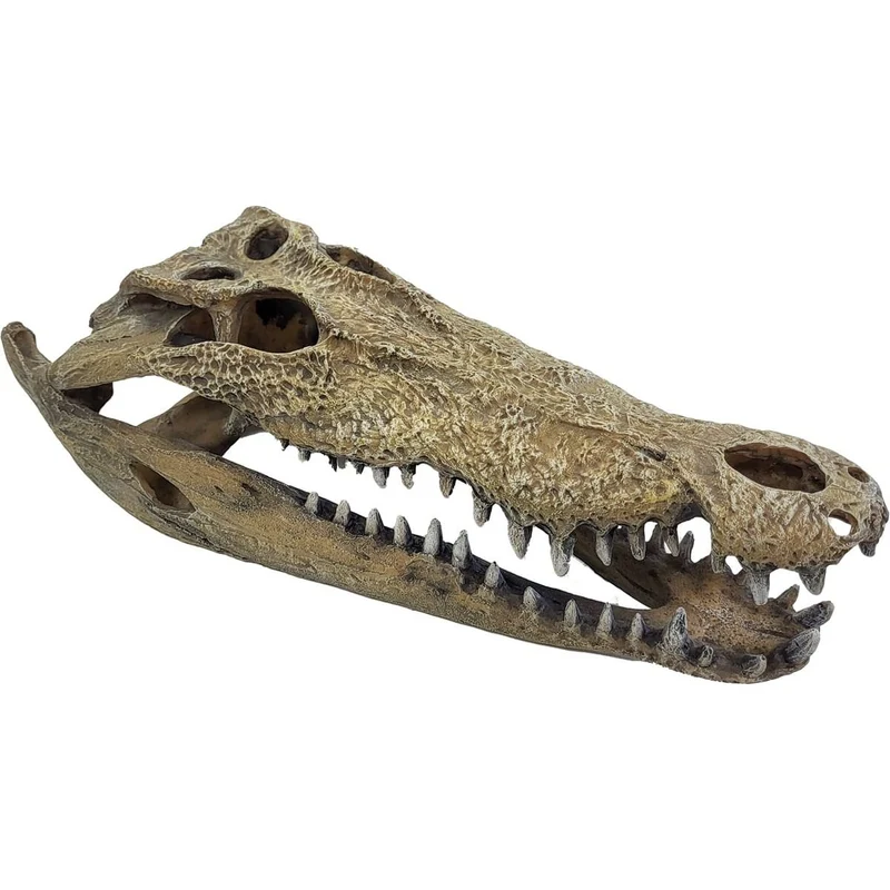 Repto Déco Crocodile XXL