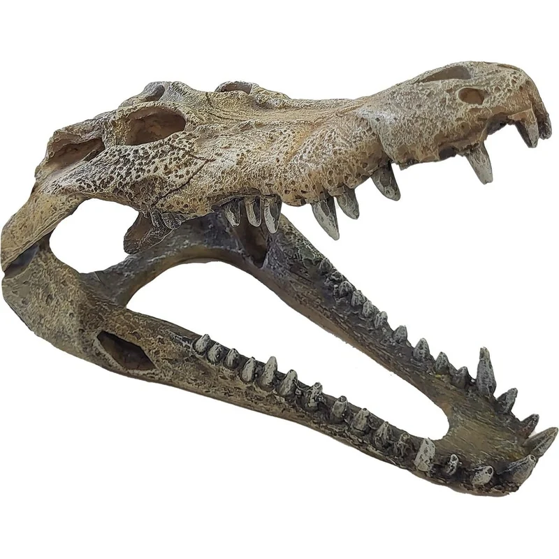 Repto Déco Crocodile L