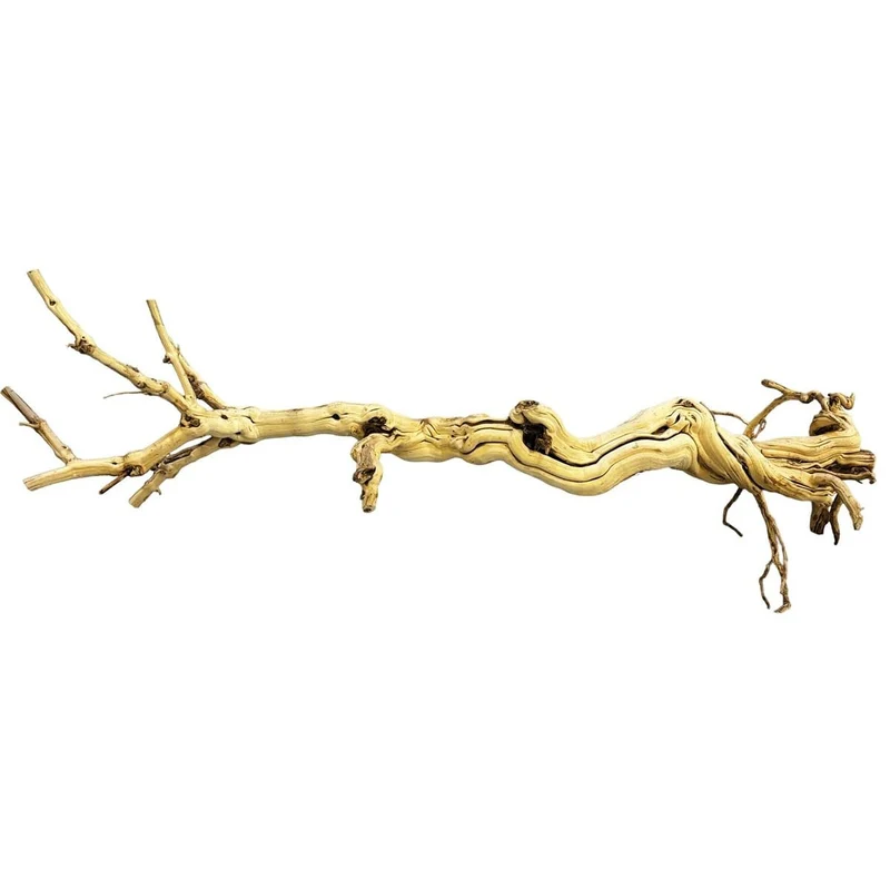 Repto Dragon Tree 90-105 cm
