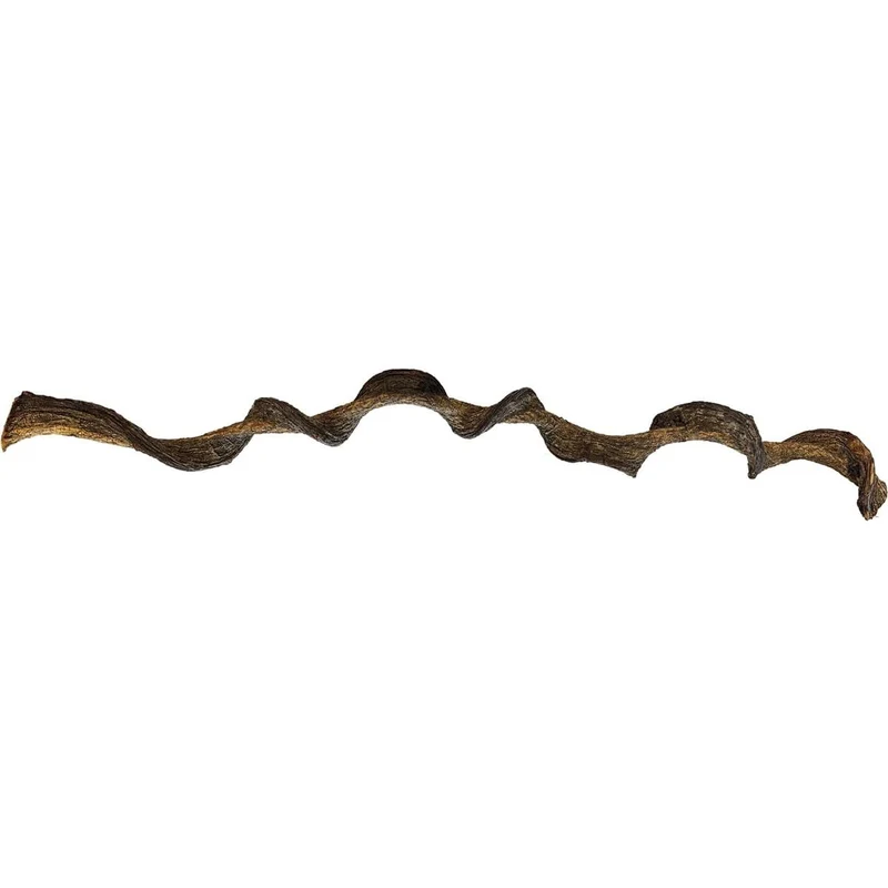Repto Jungle Wood 95 cm