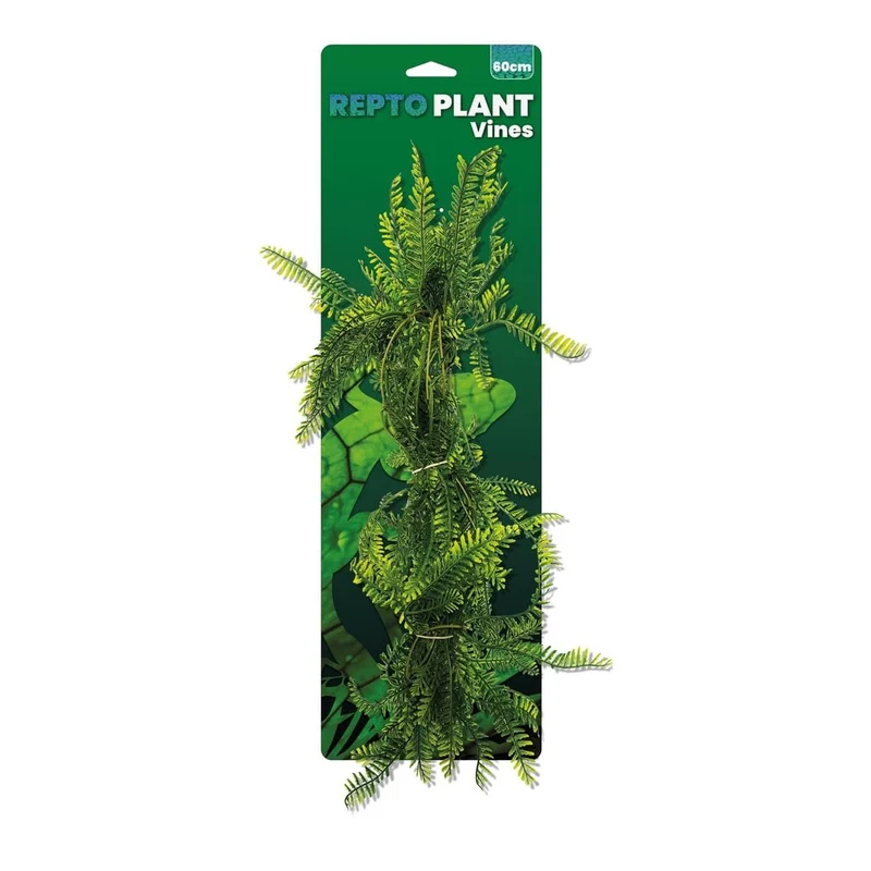 Repto Plant Vines Verte Asparagus 60 cm