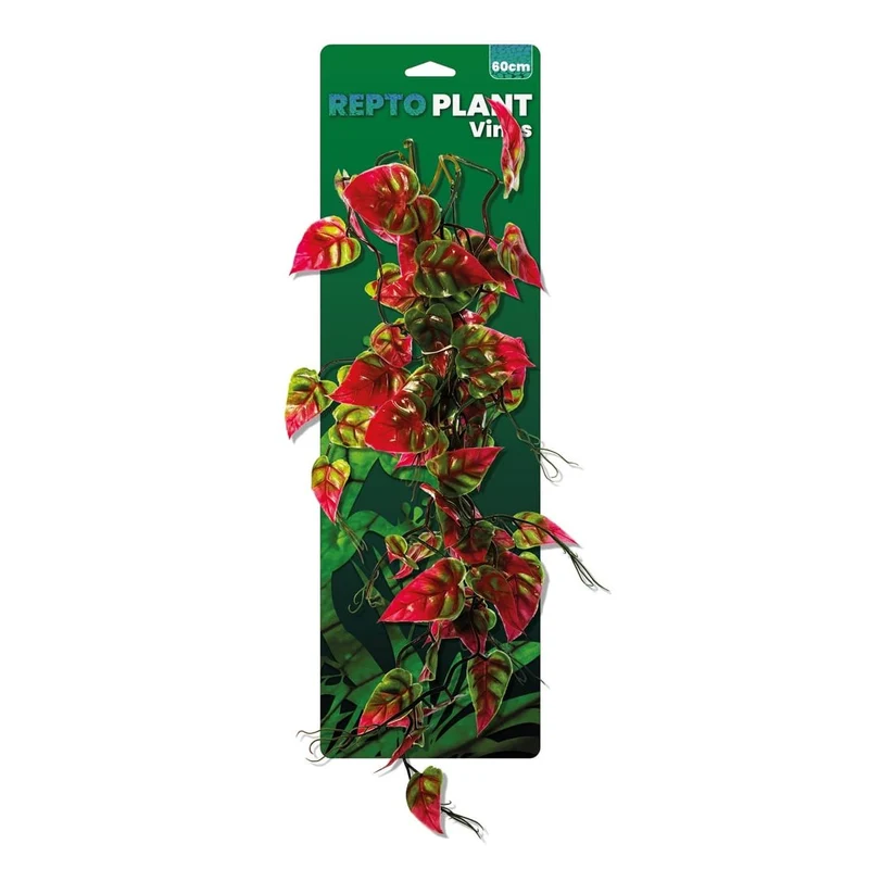 Repto Plant Vines Rose/Verte Syngonium 60 cm