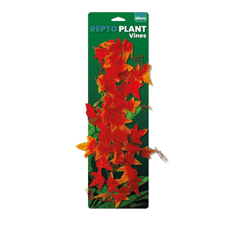 Repto Plant Vines Orange Hedera 60 cm