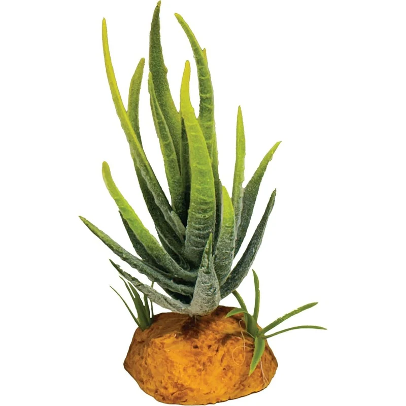Repto Plant Aloe Verte