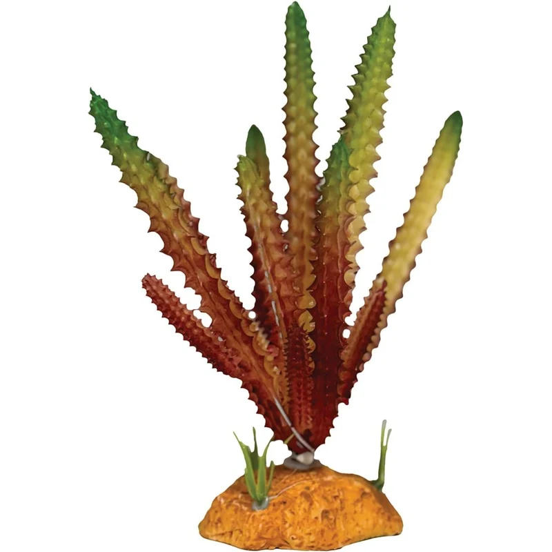 Repto Plant Cactus Needle Rouge