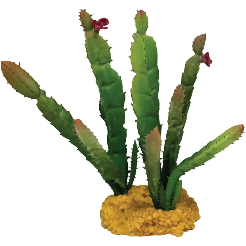 Repto Plant Cactus Needle Pointe Rouge