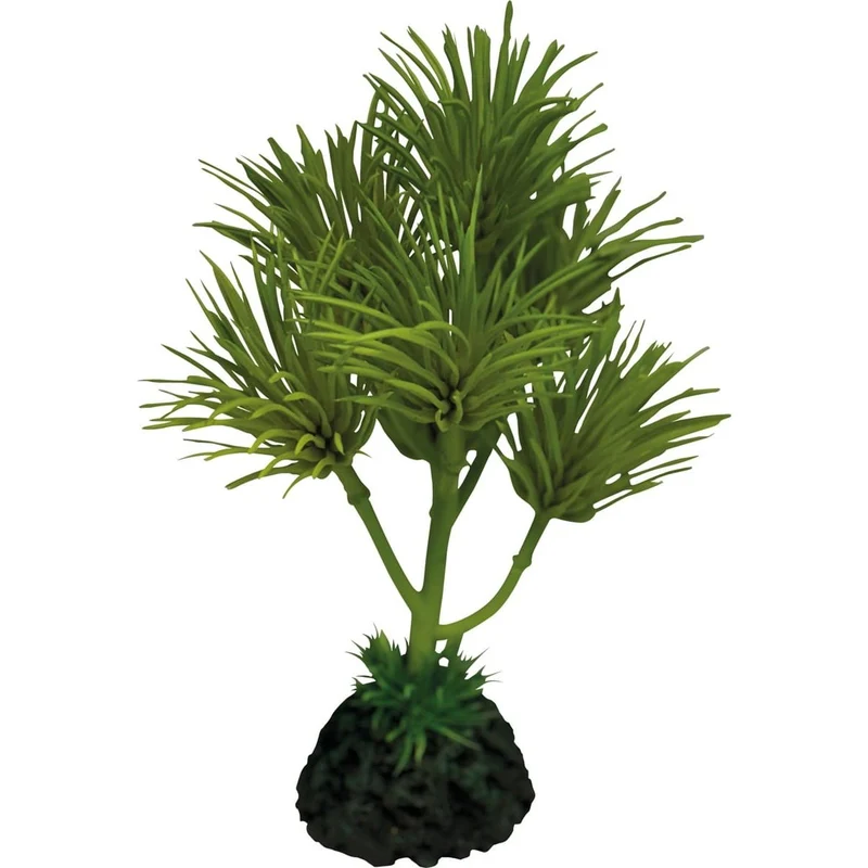 Repto Plant Cactus Palm