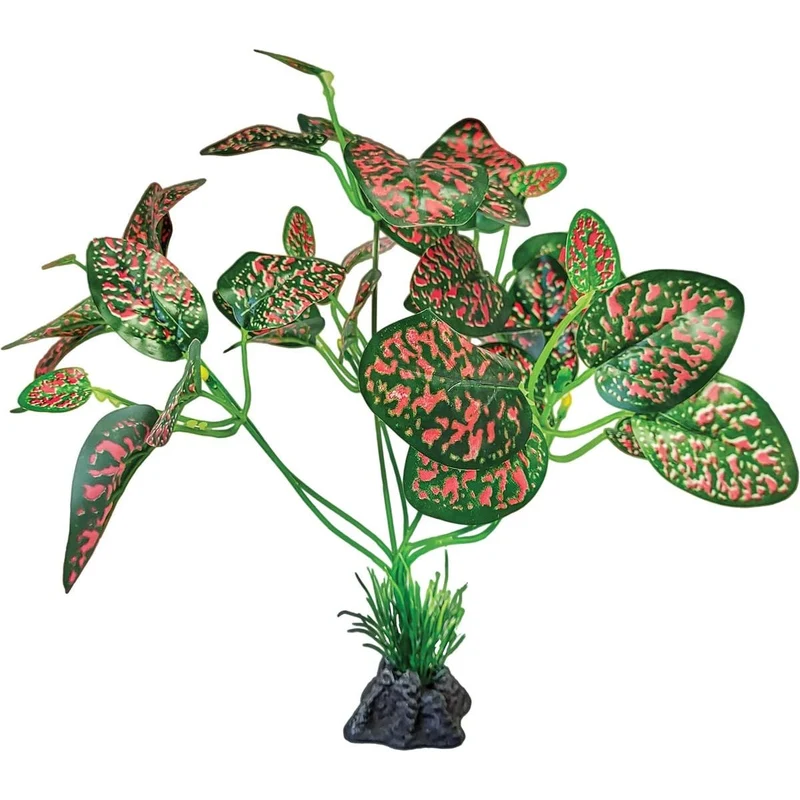 Repto Plant Debout Rouge/Verte