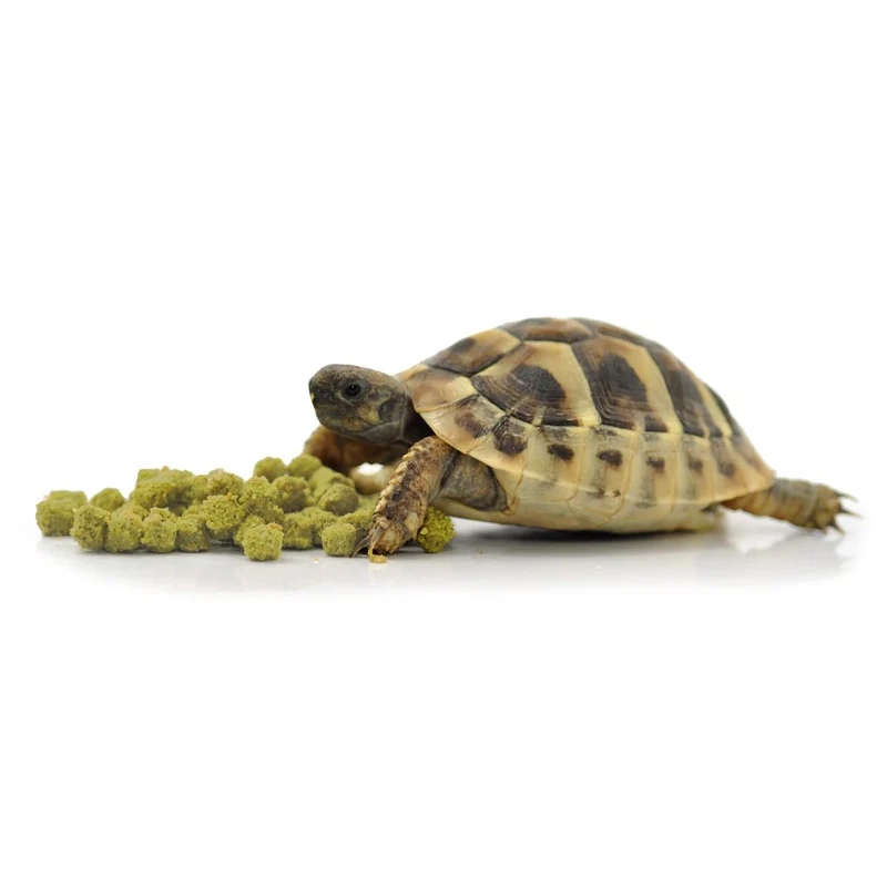 HabiStat Tortoise Food Banana 400 g