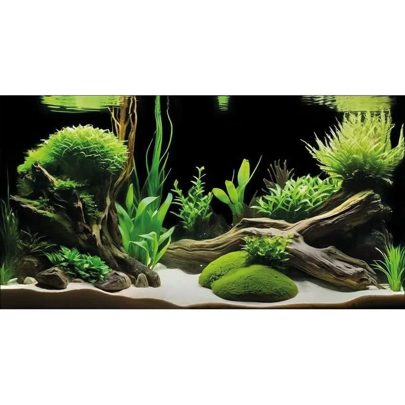 Deco Poster G5 120X61 cm - Superfish