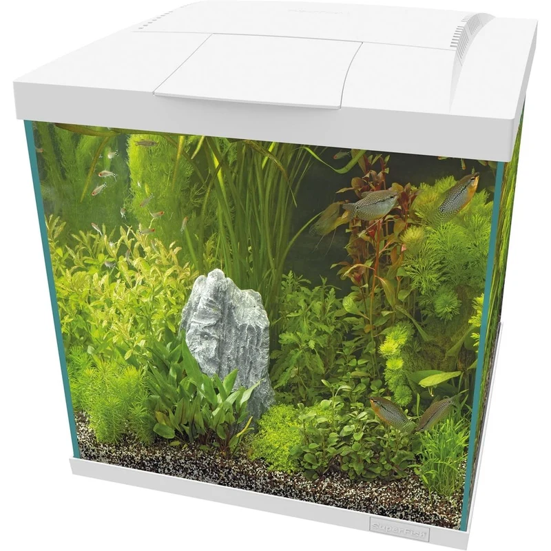 Start 60 Qube Kit Blanc - Superfish