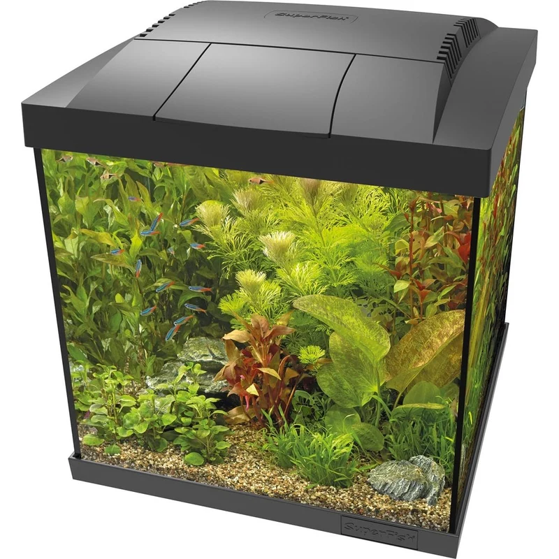 Start 30 Qube Kit Noir - Superfish