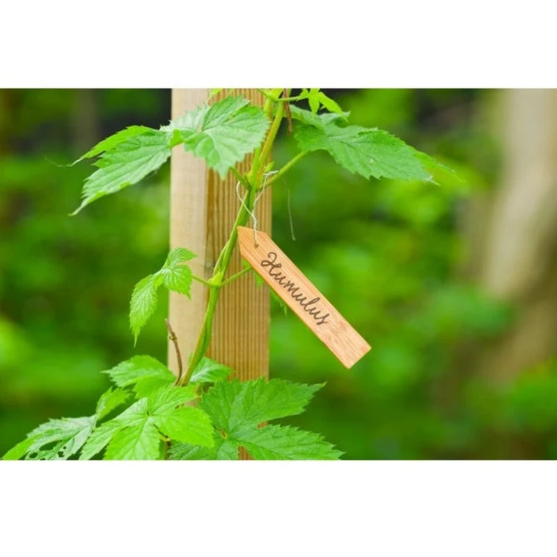 Etiquettes en bois (teinte colorée) à suspendre pour plantes incl. fil de fer - H10 cm - 15 x
