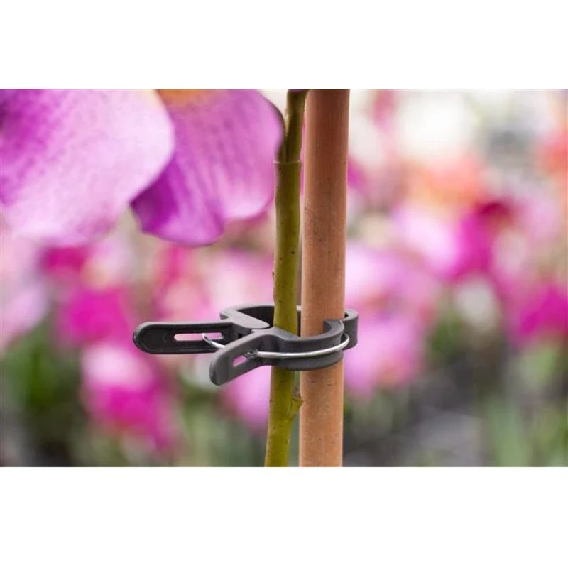 Pince ajustable de tuteurage, verte - Ø24 mm - 10 x