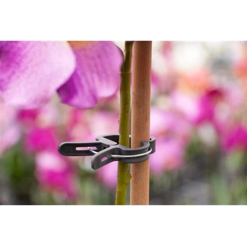 Pince ajustable de tuteurage, verte - Ø18 mm - 5 x