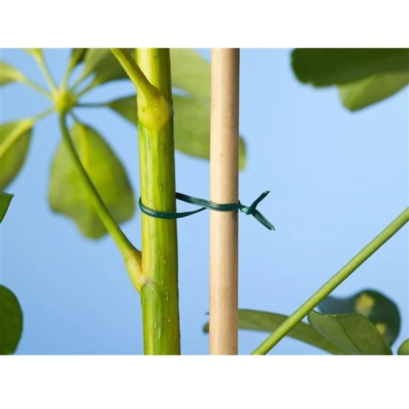Lien plastique armé vert - 100 m