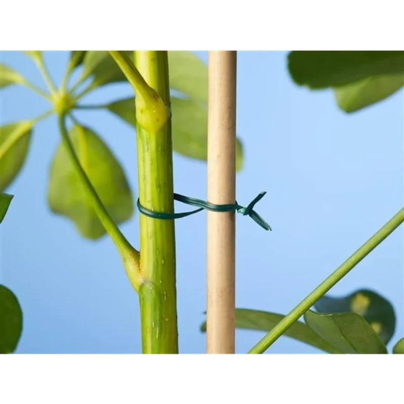 Lien plastique armé vert - 50 m