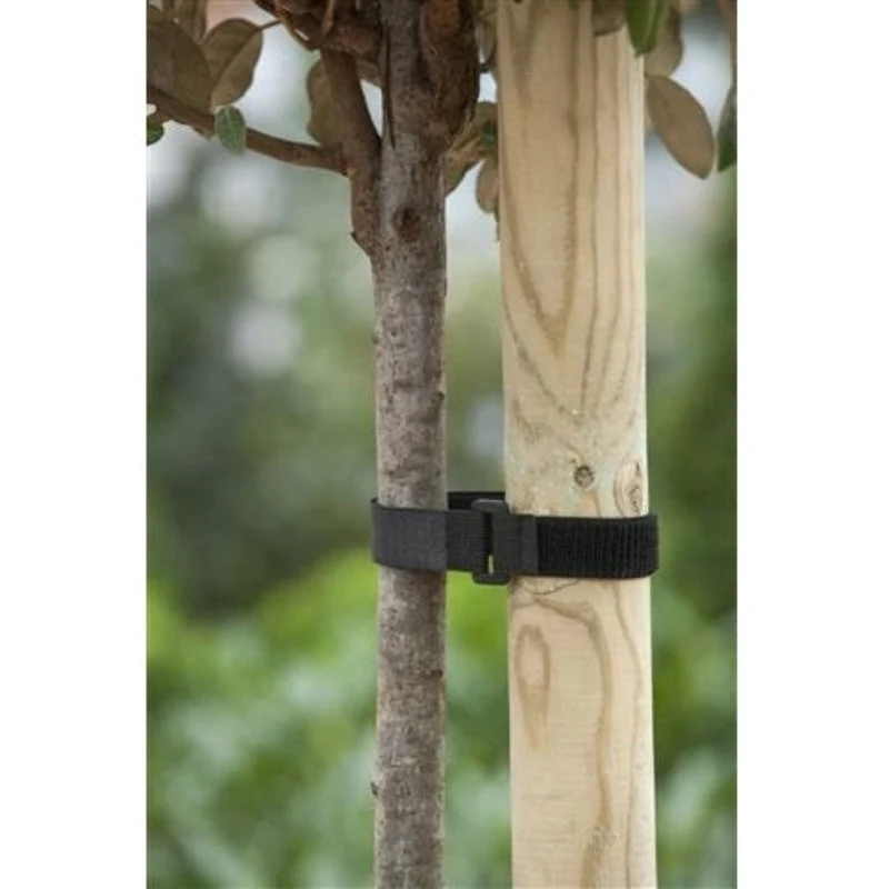 Bandeau de tuteurage avec attache velcro - 40 x 2,5 cm - 2 x