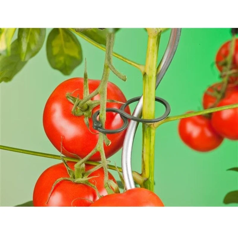 Bague de tuteurage à tomates - Ø20 + Ø35 = Ø65 mm - 25 x