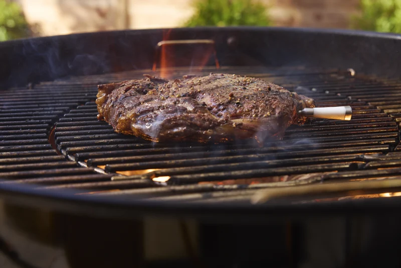 Sonda de temperatura inteligente Wifi com carregador Weber