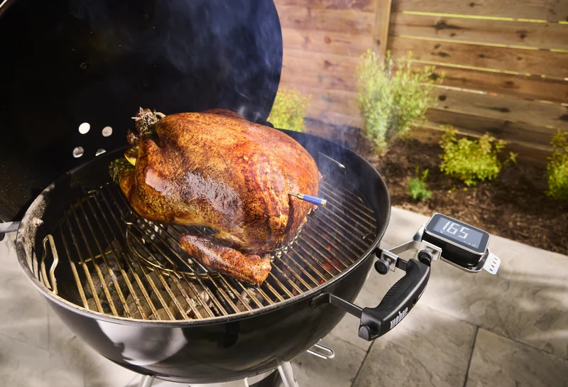 Sonda de temperatura inteligente Wifi com carregador Weber