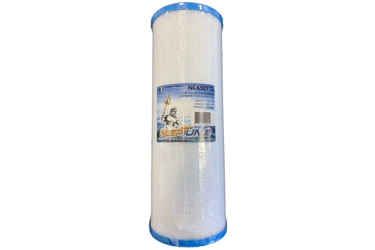 Cartouche pour spa Dynasty NC650172
