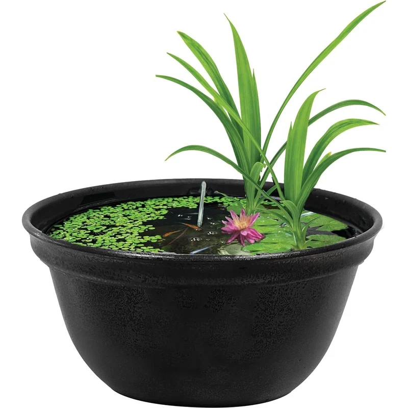 Colombo Medaka Bowl 420