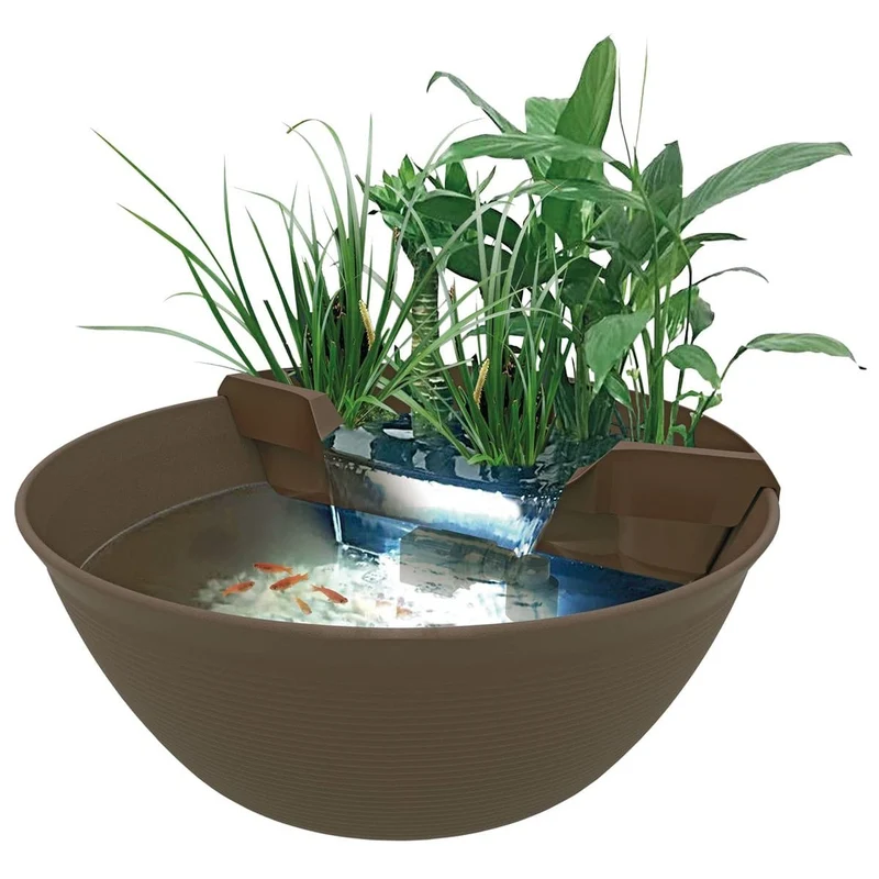 Mini Pond Marron - Superfish