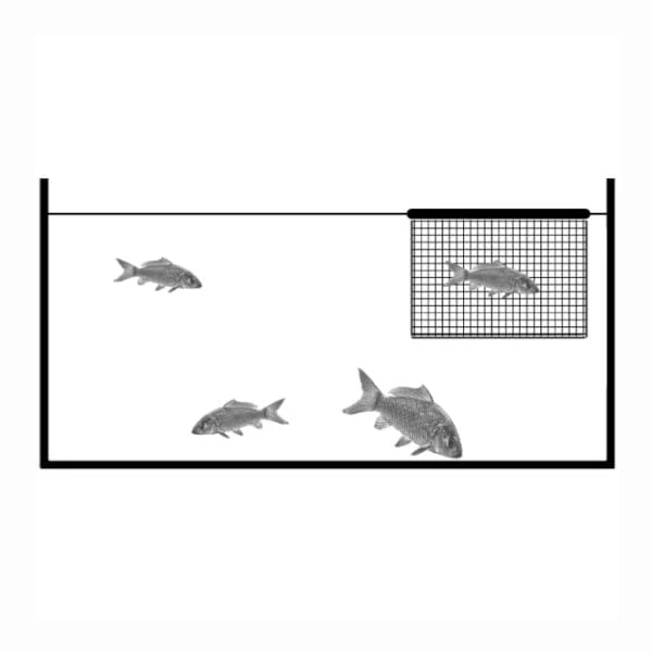 Filet d’Inspection Flottant KNS / AquaForte – Cage Flottante pour Koï et Poissons de Bassin