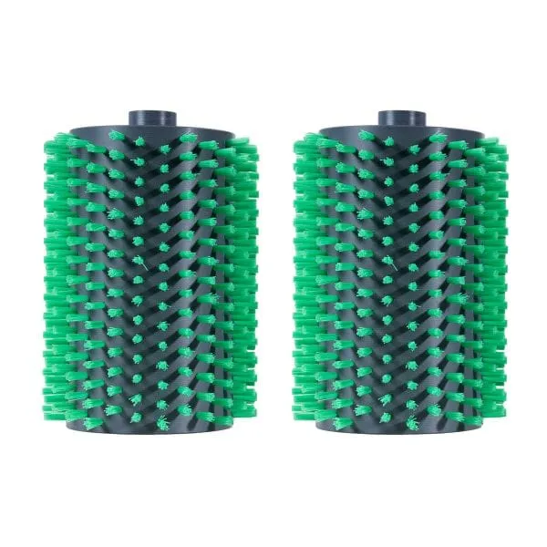 Ensemble AquaForte Biopool Robot Plus Brush (2 pièces)