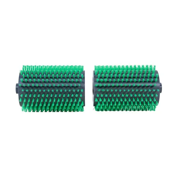 Ensemble AquaForte Biopool Robot Plus Brush (2 pièces)