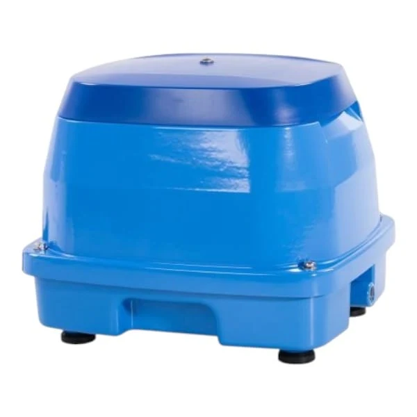 AquaForte Pompe à Air EAP 100