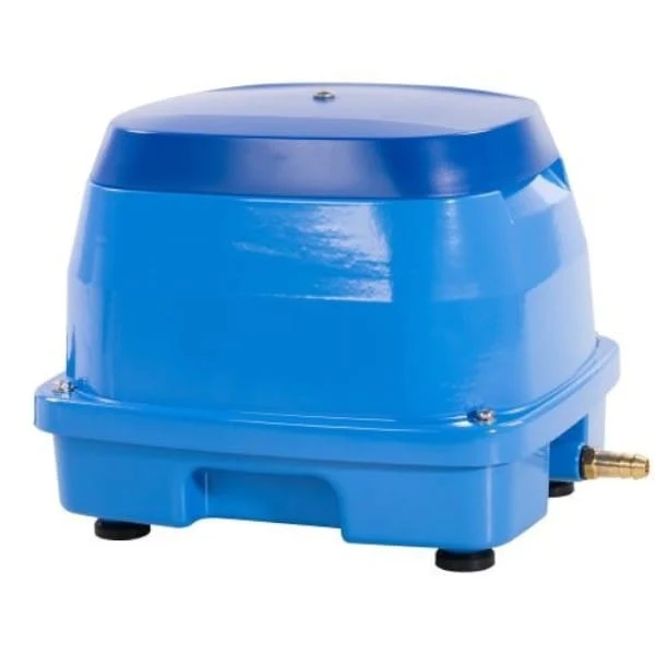 AquaForte Pompe à Air EAP 100