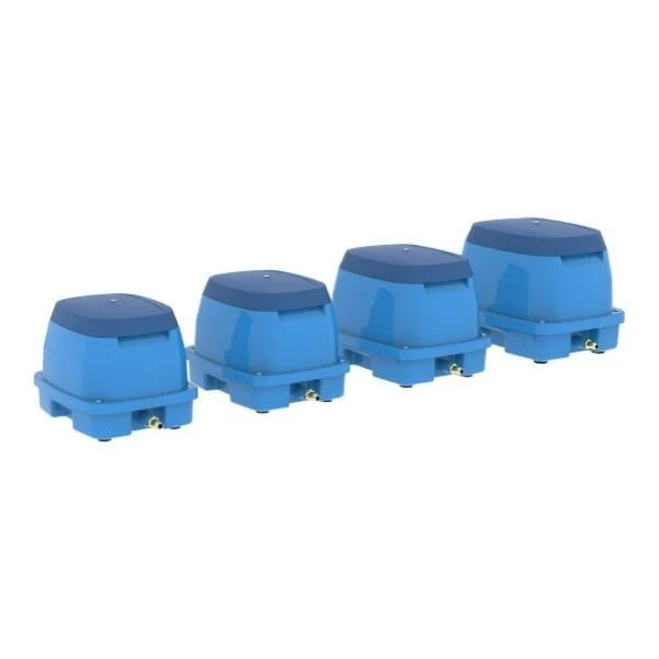AquaForte Pompe à Air EAP 100