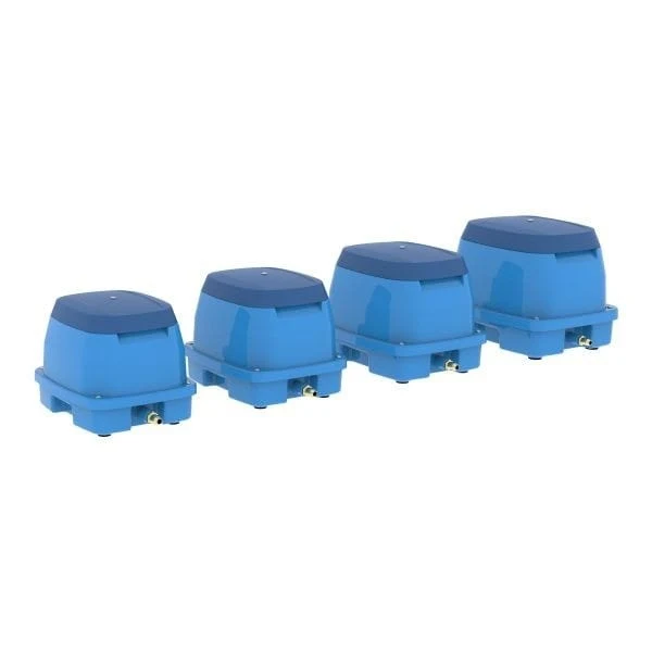 AquaForte Pompe à Air EAP 60
