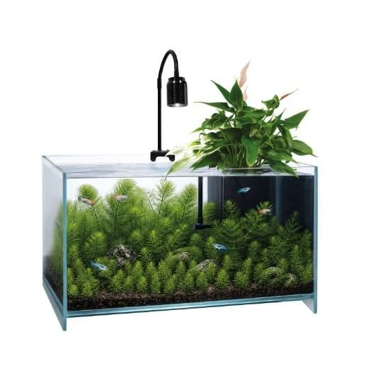 SF MEDAKA AQUA ONE - Aquarium pour Medakas - Kit Complet