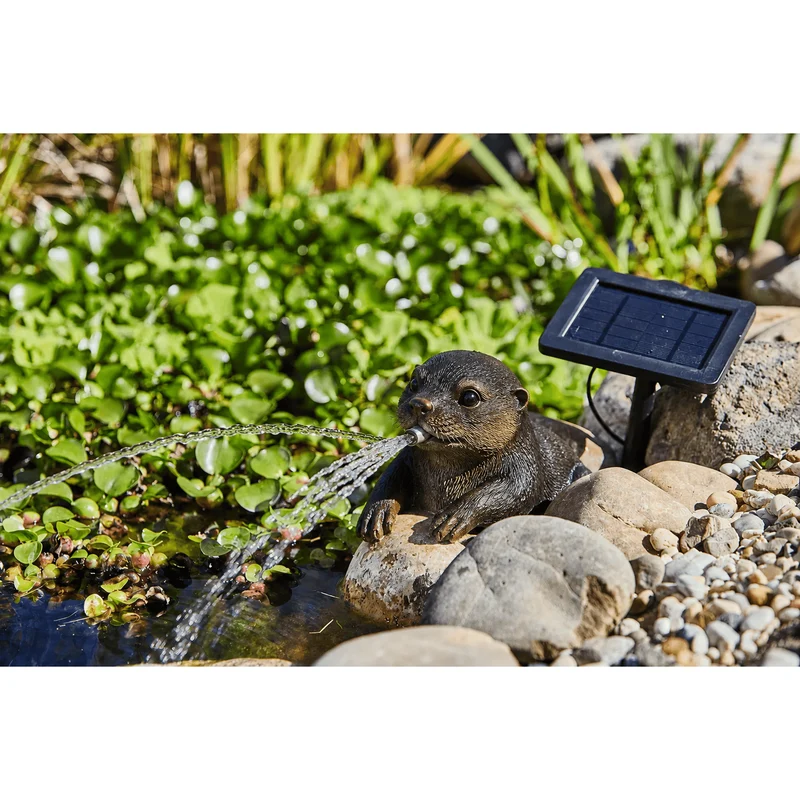 Pack Gargouille flottante Loutre 19CM Cracheuse + Pompe Solaire & Tuyau