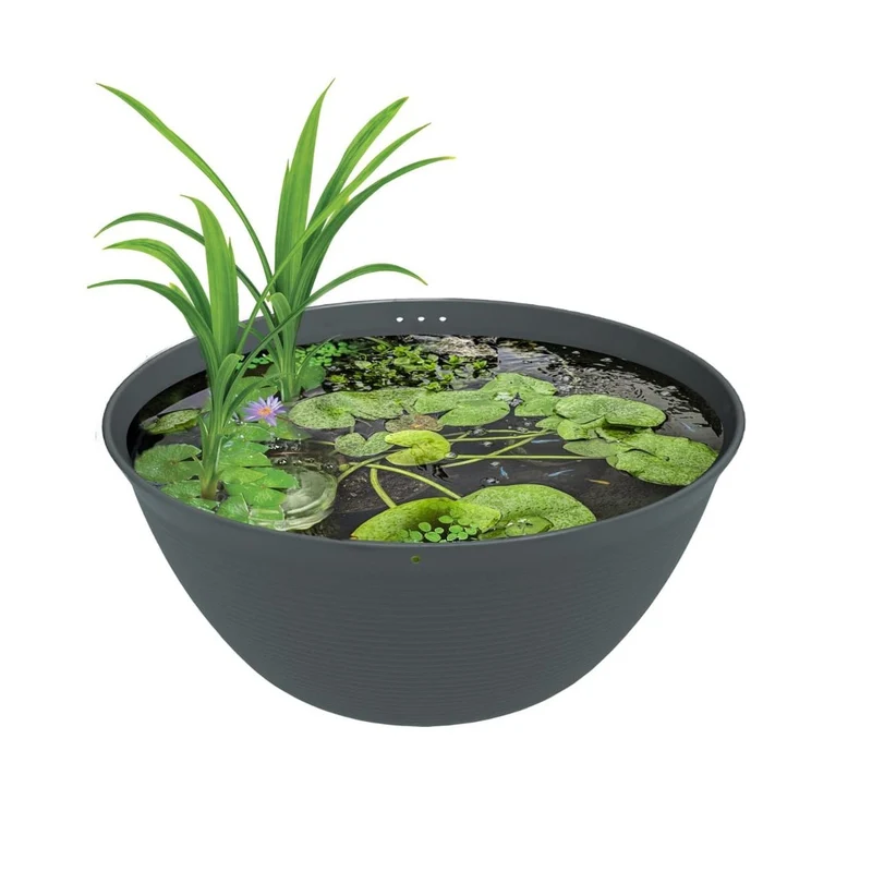 Medaka Bowl 600 - Bol Japonais pour Accueillir des poissons Medakas