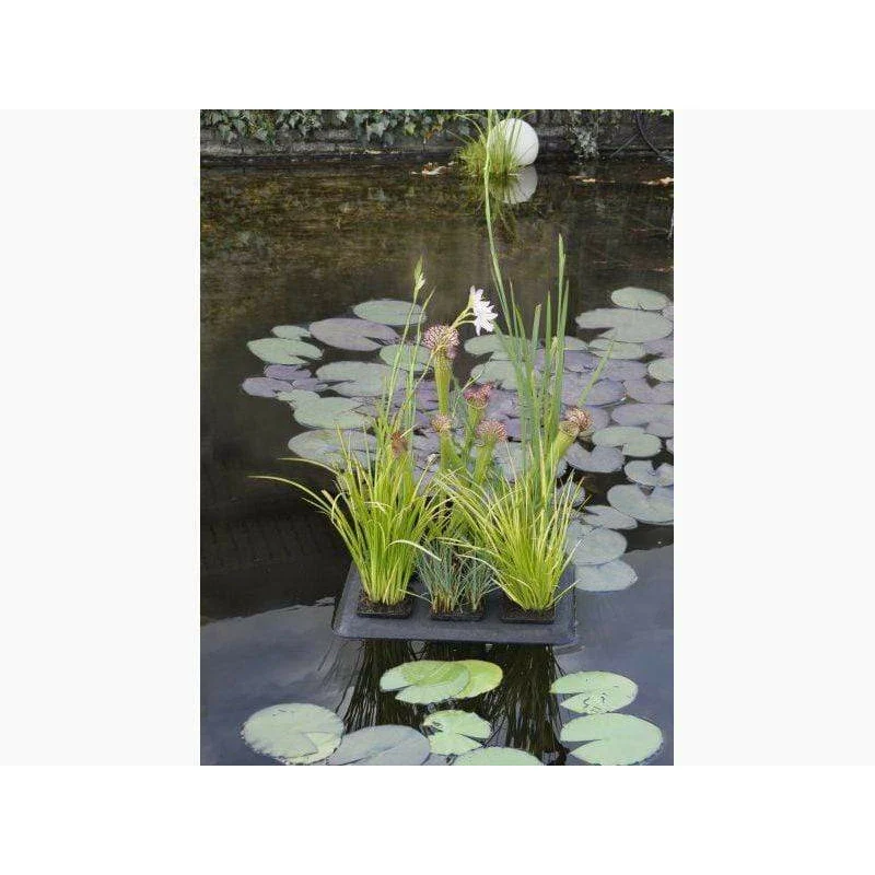Floating Plant Oasis - Ilot flottant pour y mettre 6 pots de plantes