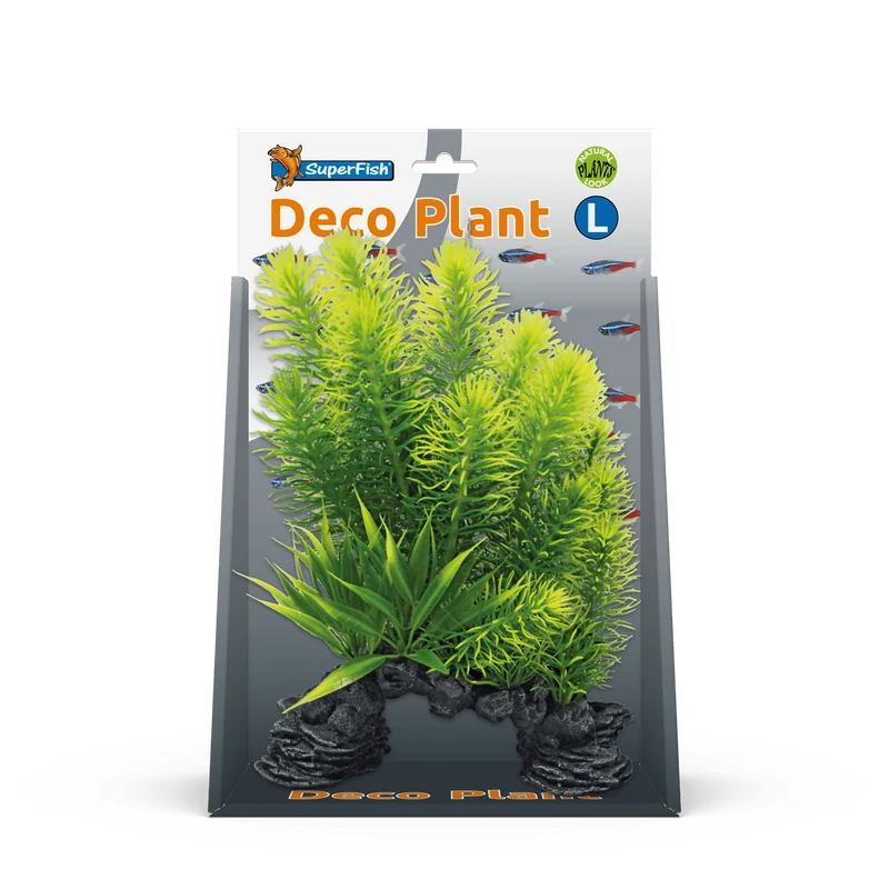 SF Deco Plante L Myriophyllum