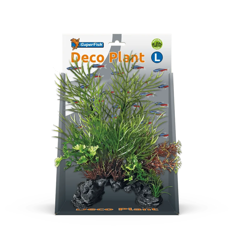 SF Deco Plante L Ceratopteris