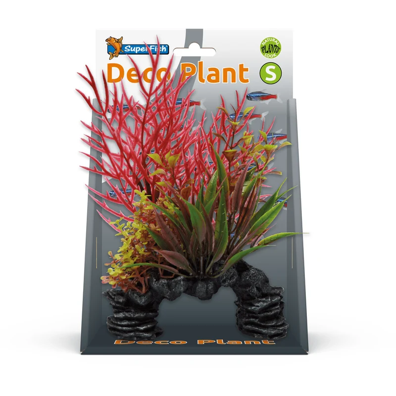 SF Deco Plante S Ludwigia